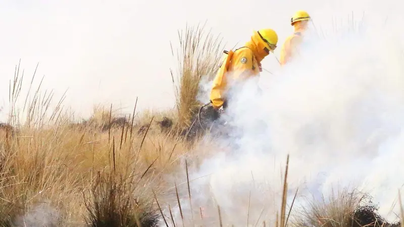 Incendios forestales
